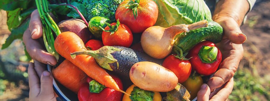 Cagette de légumes bio de saison