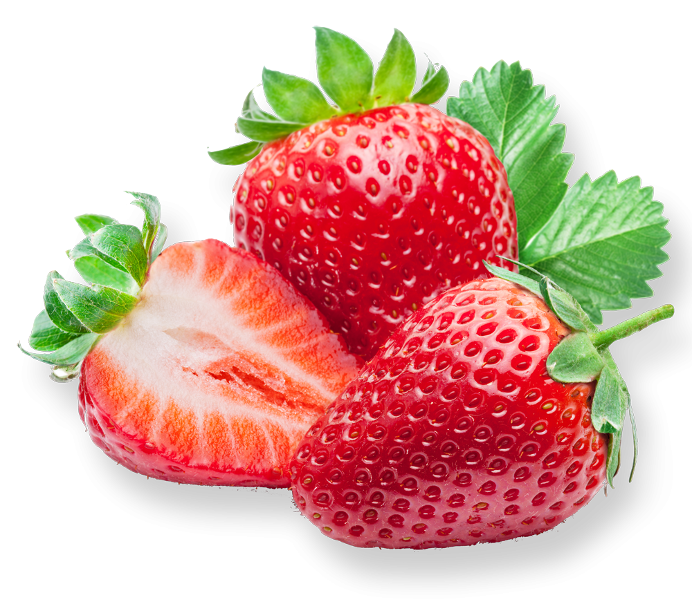 Production de fraises - Les Petits Fruits de la Baie